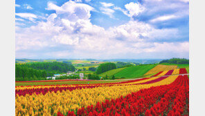 혼행족 맞춤휴가 골라볼까