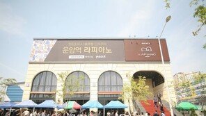 [화제의 분양현장]블록형 단독주택… 경쟁률 최고 205 대 1 