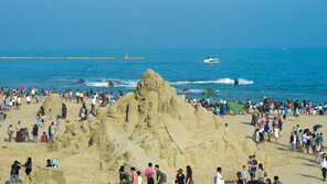 [엄마·아빠 어디가] 부산시 축제모음