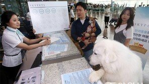 “반려견과 해외여행을”
