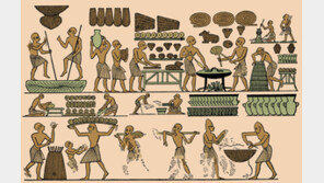 4000년 전 이집트인이 먹은 인류 첫 발효빵은 어떤 맛?