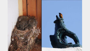 文대통령 “관저에 둥지 튼 딱새 날아가…찡찡이 출입제한 조치 풀렸다”