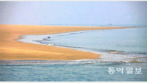 [조성하 전문기자의 코리안 지오그래픽]‘바다의 사막’이 말을 건넨다