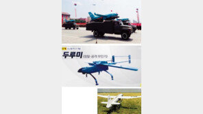 북한, 풍선 띄워 문재인 정부 간보기?