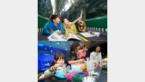 롯데월드 아쿠아리움, 여름 해양캠프 프로그램 운영