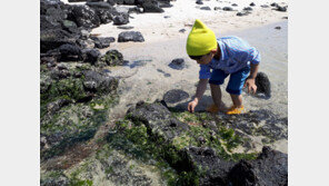 “6월 제주 이곳은 꼭 가보자”, 추천여행지 10선