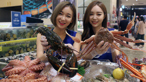 신세계 강남점 ‘수산물 대전’…시세대비 최대 40% 저렴