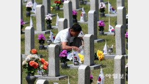 현충일 앞두고… “미리 찾아왔습니다”