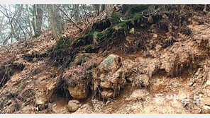 [단독]국립공원 탐방로 신설 제동건다