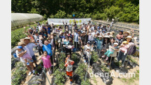 도요타, ‘2017 주말농부 오프팅 팜 파티’ 개최… 24팀 참가