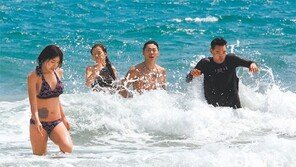 더위 피해 바다에 풍덩