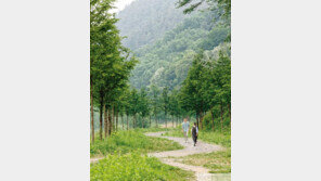 그곳에 살어리랏다, 진천