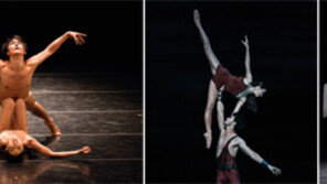 관객과 무용수의 즉흥댄스… 발레가 어렵다고 누가 말했나