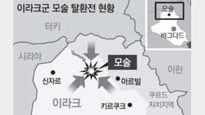 매티스 “IS 가담한 외국인전사 집에 못 돌아가게 할 것”