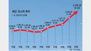 [Money&Life]코스피 날마다 高高↑ 투자자 고민도 高高↑