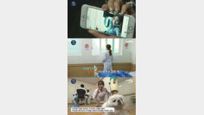 예정화, 과거 ‘관심병’ 패러디 보니? “SNS 눈팅만 할 것” “일상은 종이 일기장에”