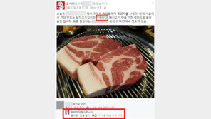 ‘단언’ 대신 ‘단원고합니다’ 쓴 윤서인 ‘뭇매’…“이 사람, 왜 자꾸 이래”