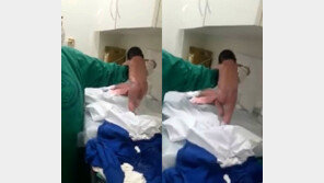 [영상] 태어나자 마자 걸음마 시도하는 신생아, 어떻게 이런 일이…