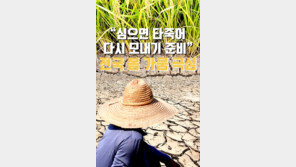[카드뉴스]“심으면 타죽어 다시 모내기 준비” 전국 봄 가뭄 극심