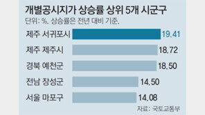 전국 개별공시지가 5.34% 올라… 9년만에 최대폭 