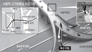 서울역 고가정원 140cm 유리벽, 투신 못막았다