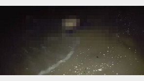 “해변에 마네킹이?”…생방중 BJ, 부산 다대포해수욕장서 시신 발견