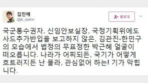김진애 “김관진·한민구 모습에서 박근혜 얼굴 떠오른다”