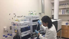 암 사망률 1위 폐암, 치료 실마리 찾았다…“악성 폐암 발병 과정 규명”