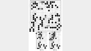 [바둑]알파고 vs 인간 특선보… 실패로 끝난 침입