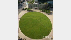 초록빛 되찾은 서울광장