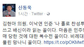 신동욱 “김현아, 이낙연 인준 ‘나홀로 찬성투표’…소신이라 쓰고 배신이라 읽는 꼴”