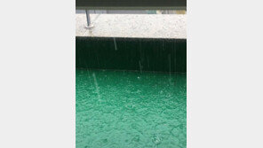 서울 강남에 포도알 크기 우박이 ‘와르르’ …온라인에 제보 속출