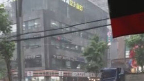 (영상)“돌덩이 떨어지는줄 알았다, 베란다 지붕 뚤려” 영등포·여의도·사당에도 우박
