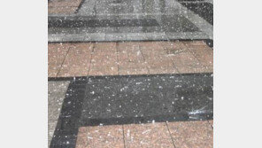 담양군 “우박 지름 최대 7cm…지붕파손 5동-차량유리 파손 5대” 