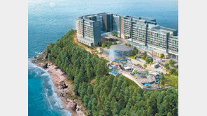 [이젠 평창이다]천혜의 절경 동해바다를 한눈에 “진정한 힐링의 시간 느껴보세요” 