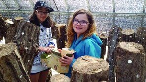 [이젠 평창이다]직접 만들고 수확하고… 외국인 ‘농촌 힐링스테이’ 주목 