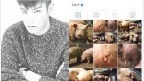탑, 대마초 흡연…SNS ‘돼지 엉덩이’ 사진 재조명…“약에서 나온 똘끼?”