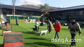 한국반려동물아카데미, ‘블루오션’ 반려동물 산업 이끌 전문가 양성