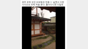 담양·서울 이어 경주·울산 ‘우박’ 제보 이어져…“여행 온 건지, 지옥 온 건지”