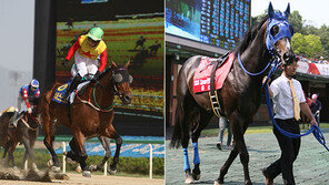 한일 경마전, 최강 스프린트는?