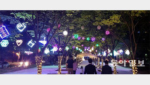 대전 루미나리에 이달말까지 이어져