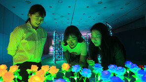어둠속에서 활짝 핀 ‘LED 꽃’