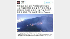 수락산 대형 산불에…표창원 “밤새 고생하신 소방관·공무원·주민께 깊이 감사”