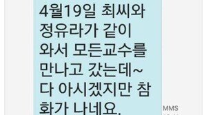 정유라 구속영장 청구…안민석 “지난해 만났던 교수들은 유령? 맹랑한 연기”  