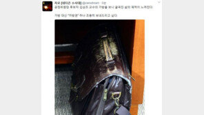 김상조, 청문회장 들고온 ‘낡은 가방’ 화제…“굴곡진 삶의 궤적 느껴져”