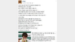 손혜원 “댓글로 사람 죽진 않아”