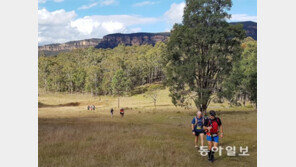 [글로벌 화제]눈앞엔 환상, 다리는 천근… 22시간 ‘죽음의 레이스’