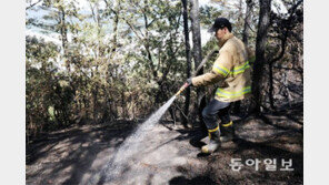 검게 탄 수락산 곳곳에 담배꽁초