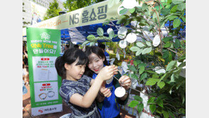 NS홈쇼핑 ‘손바닥농장 팜팜’ 성황 “환경보호 실천 약속했어요”