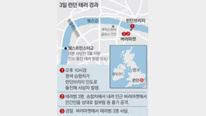 IS “공격 개시” 메시지 뿌린 날… 3월 테러 모방한 차량 돌진